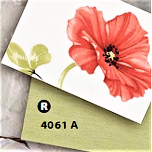 FINEST COTTON  PAJAMA SET PLUS SIZE US 20 MADE IN EUROPE - Picture 3 of 3